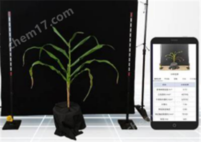 玉米表型檢測系統(tǒng)